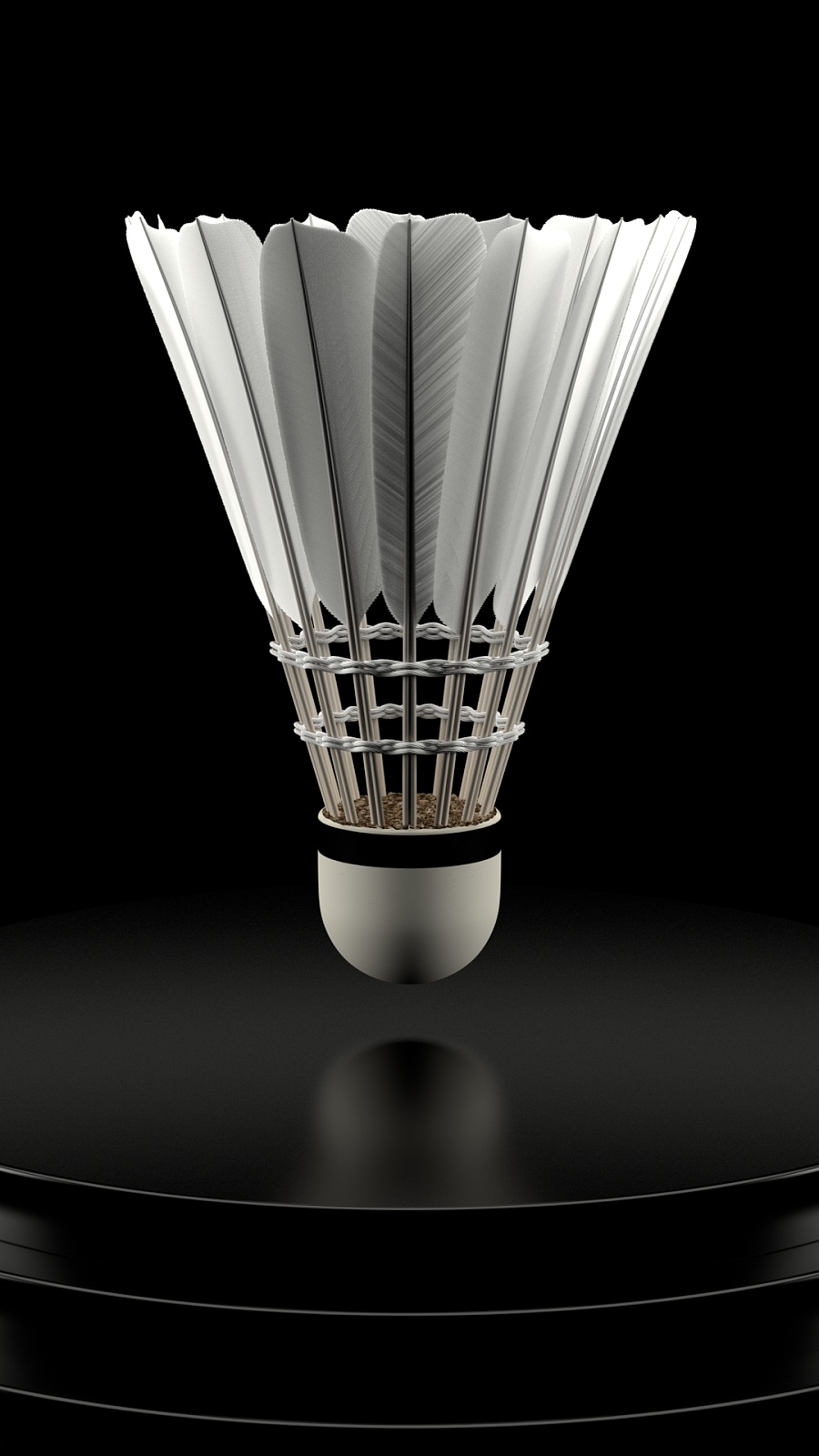 主教练在采 主教练在采