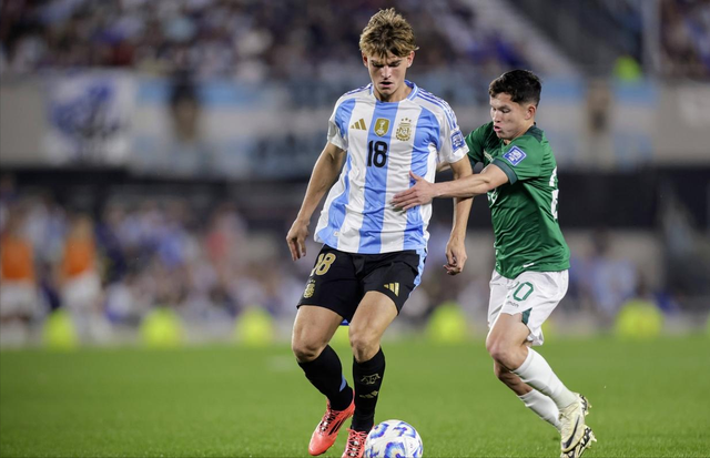 马宁在处理 马宁在处理