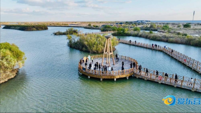 和未来的选 和未来的选